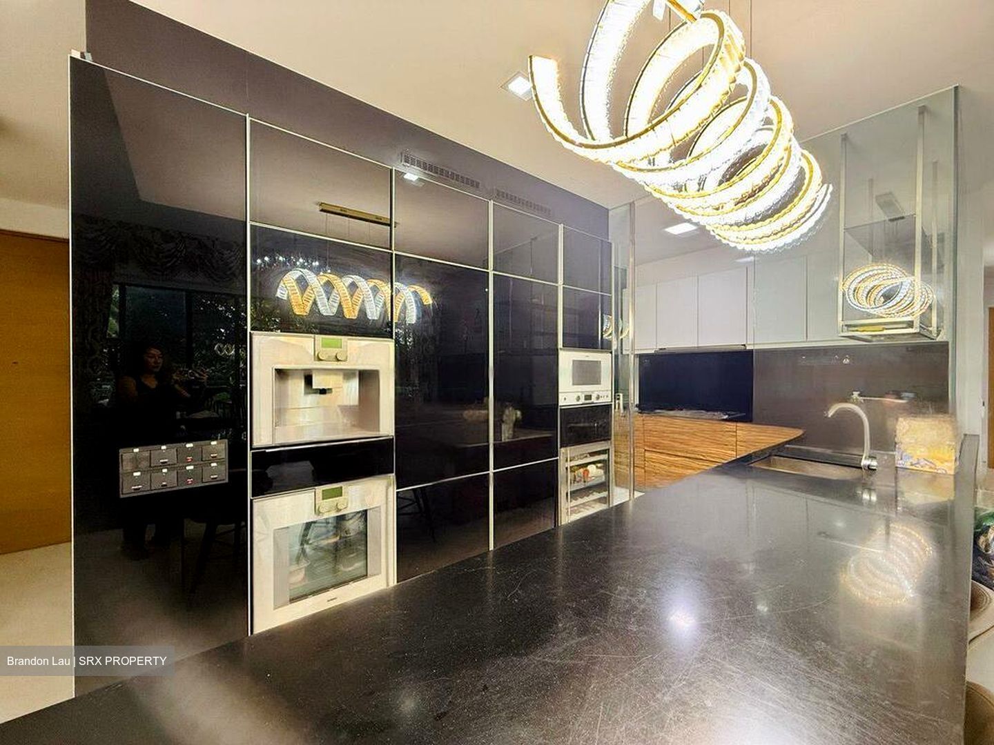 SilverSea (D15), Condominium #473315191